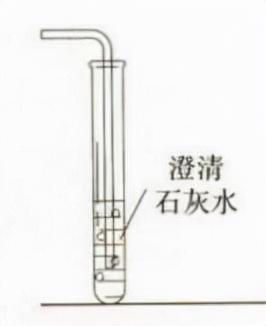 实验室制取二氧化碳方程式解法（制取方法及注意事项）