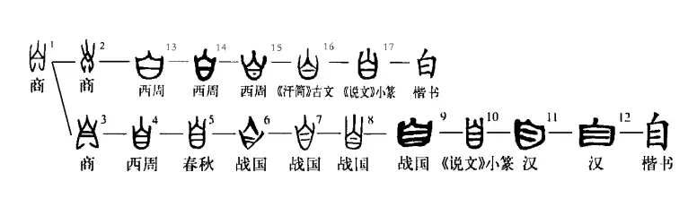 自是什么结构的字（“鼻”与“自”的渊源）